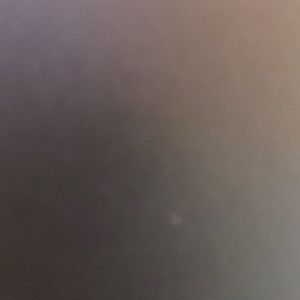 Meet your Posher, Hayley